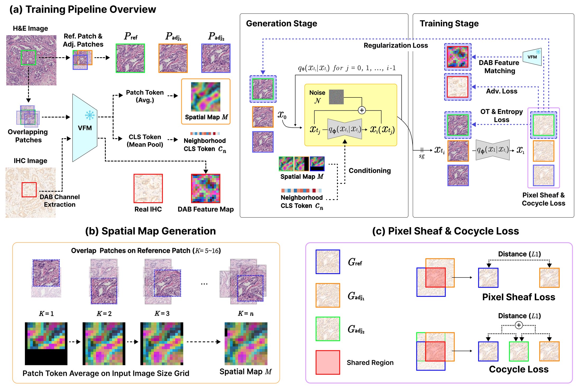 SheafStain training pipeline: (a) overview with a reference patch and two adjacent targets sharing a triple overlap, (b) the spatial map built from VFM tokens of overlapping patches, (c) pixel sheaf and cocycle losses on shared regions.